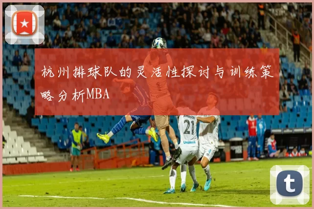 杭州排球队的灵活性探讨与训练策略分析MBA