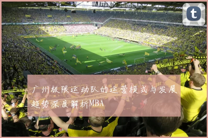 广州极限运动队的运营模式与发展趋势深度解析MBA