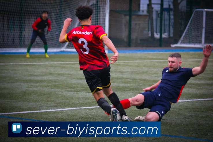 必一运动体育APP 封面图